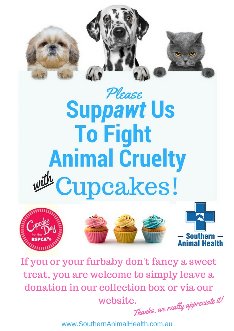 A4 - RSPCA Cupcake Day