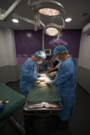 Dedicated, state of the art, fully equipped surgery for advanced procedures