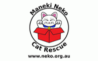 Maneki Neko Cat Rescue