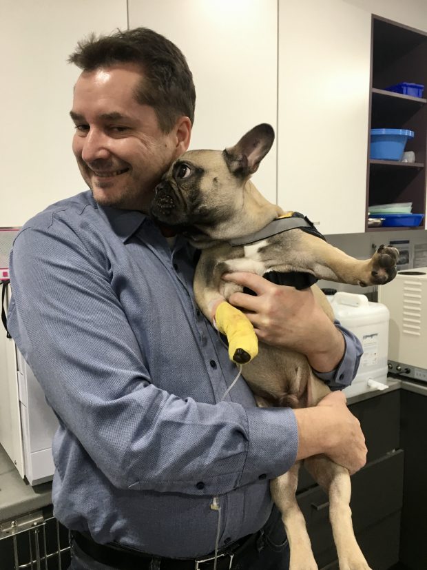 Dr Marcus Hayes Southern Animal Health